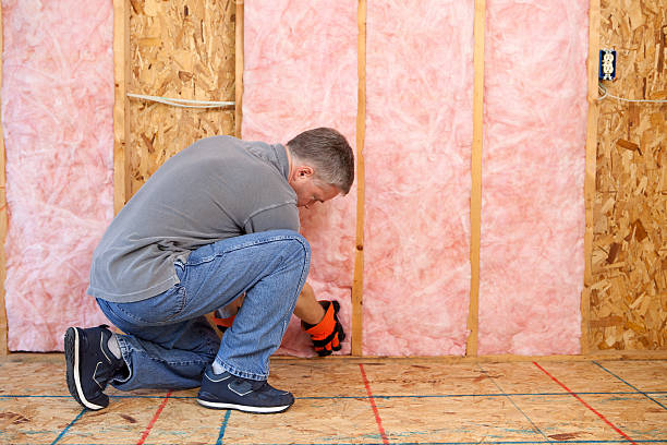 Best DIY Insulation Kits and Guidance in Maquoketa, IA