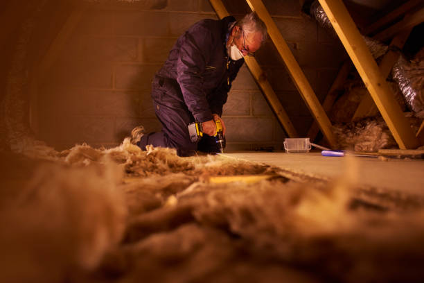 Best Spray Foam Insulation in Maquoketa, IA
